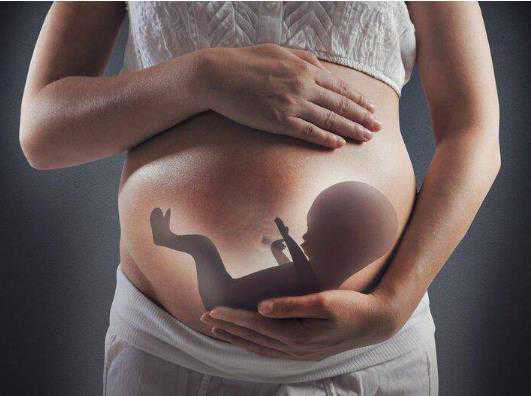 温州代怀捐卵供卵 温州市第三人民医院可以做供精试管婴儿吗? ‘怀孕b超图形