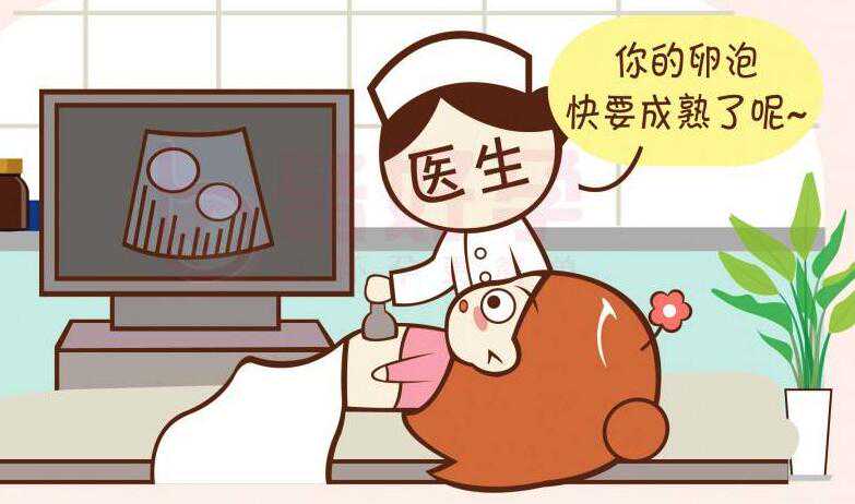 武汉代生的技术基础 在武汉做一个供卵试管需要多长时间? ‘第一次孕囊大小看