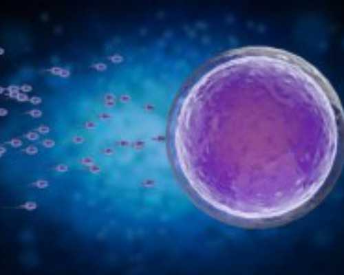 试管精子选择标准