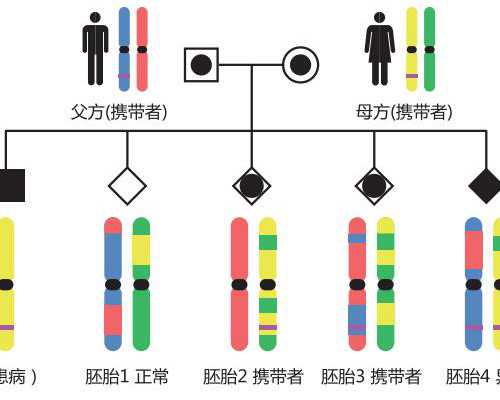黄体功能不足如何影响试管婴儿成功率？