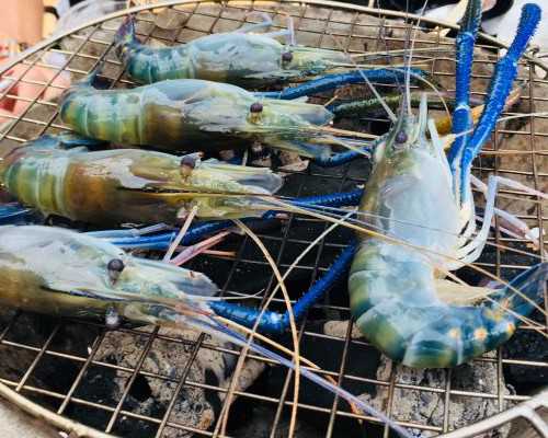 试管妊娠期防畸注意事项