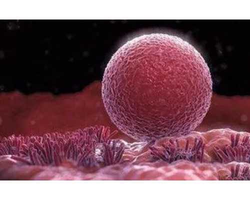 二代试管和三代试管哪个成功率高