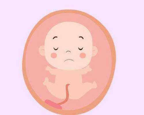 南昌供卵助孕机构哪家好