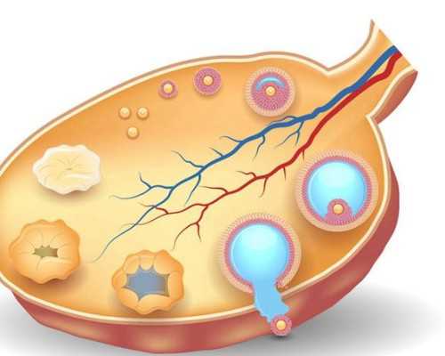 试管周期黄体功能实时监测技术