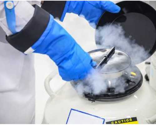 了解试管婴儿相关法规，为生育梦想筑牢法律防线