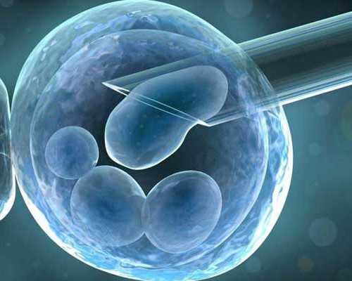 杭州做供卵试管机构有哪些