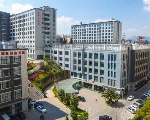 精子质量影响试管成功率吗？