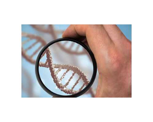 南昌代孕能成功吗 南昌三甲医院——南昌大学第一附属医院 ‘b超如何测男女’