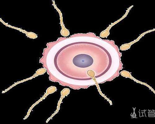 试管精子处理时间