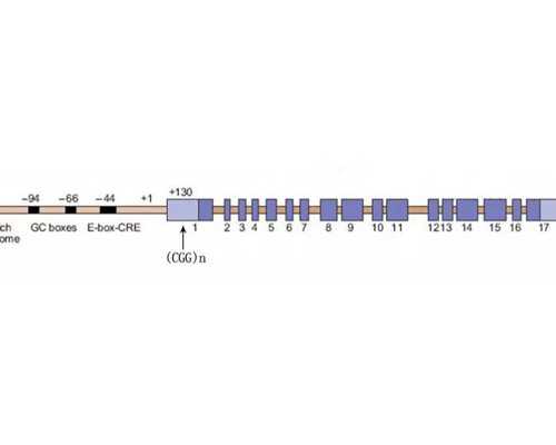 国内正规试管机构无忧助孕