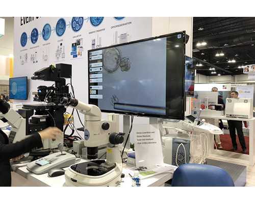 湖北供卵试管不排队医院