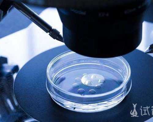 江西3a试管婴儿|2025江西精子库医院名单大全 江西助孕医院