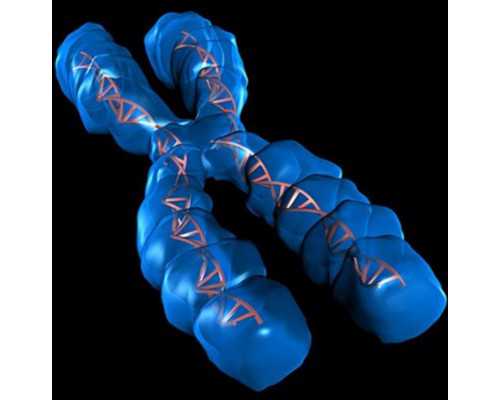 试管精子筛选流程