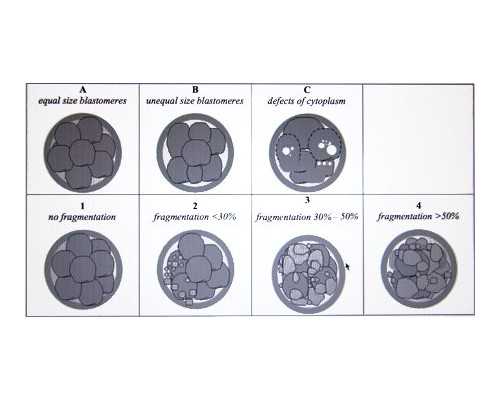 武汉试管：不孕家庭的福音