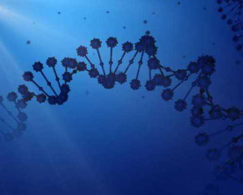 试管知识:黄体功能与子宫内膜容受性关联解析