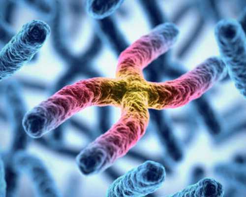 黄体功能对试管成功率的影响