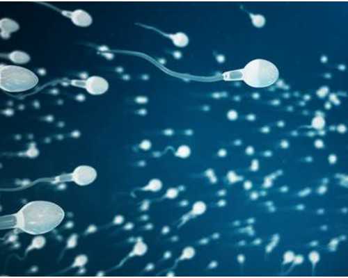 试管知识:黄体支持不当可能引发的5大风险