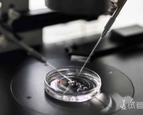 国内供卵三代试管哪里可以做