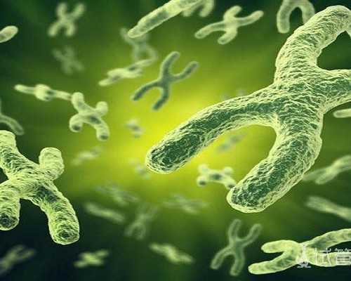 北京三代试管与二代试管的区别：技术升级带来的新变化