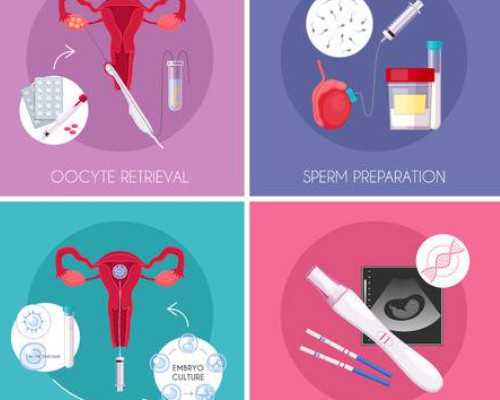 黄体支持在试管前的作用