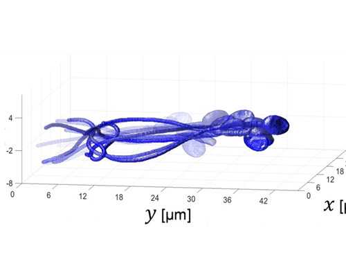 试管胚胎筛查能防畸形吗？