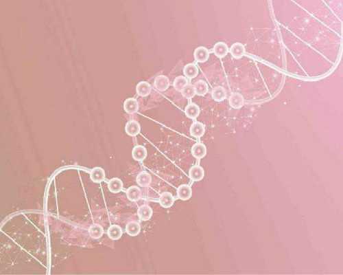 湖北地区有多家助孕公司？附机构最新排名