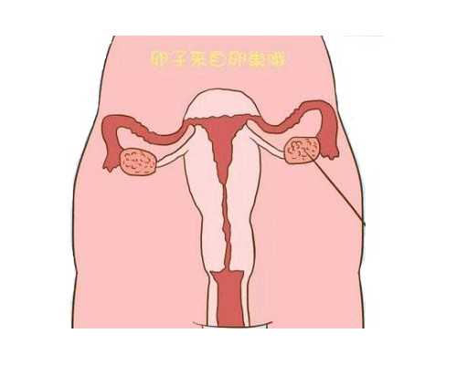 南昌正规卵子库|南昌试管婴儿可以报销吗？去南昌做试管医保能报吗？