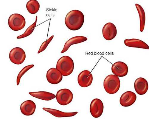 你所不知道的试管婴儿：技术背后的科学原理