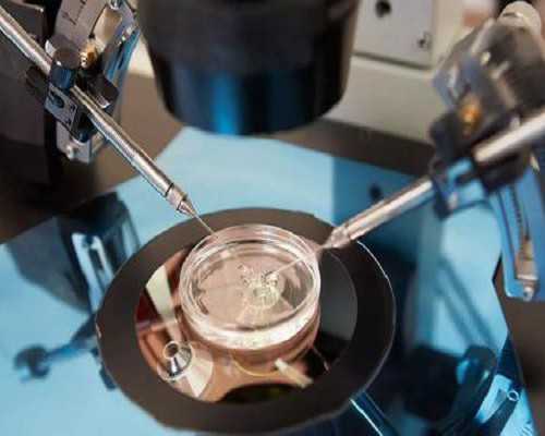 试管技术安全性与胎儿畸形