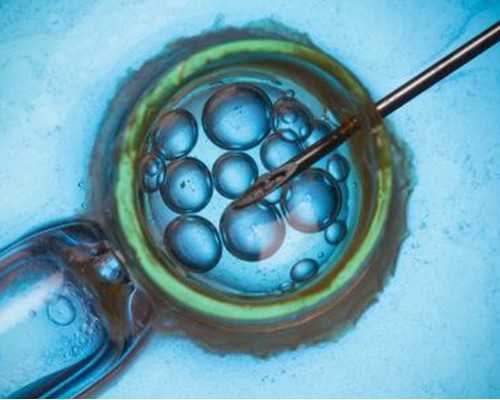 试管知识:不同黄体支持方案的成功率对比