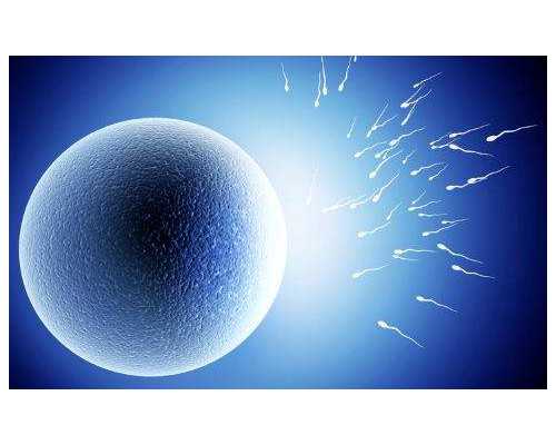 深圳三代试管供卵套餐-专业服务值得信赖