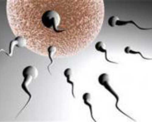 南昌代生妈多少钱 南昌三甲医院——南昌大学第一附属医院 ‘32周双顶径看男