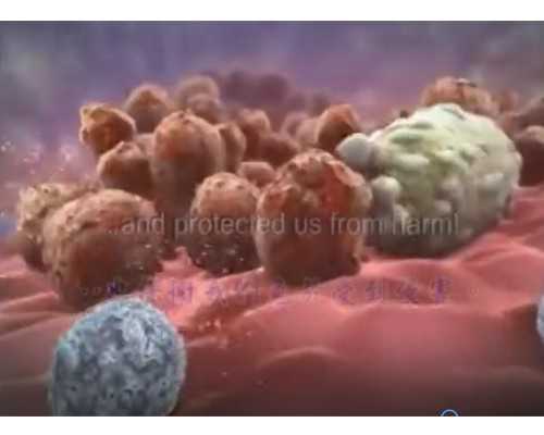 黄体酮用药依从性对试管结局的影响