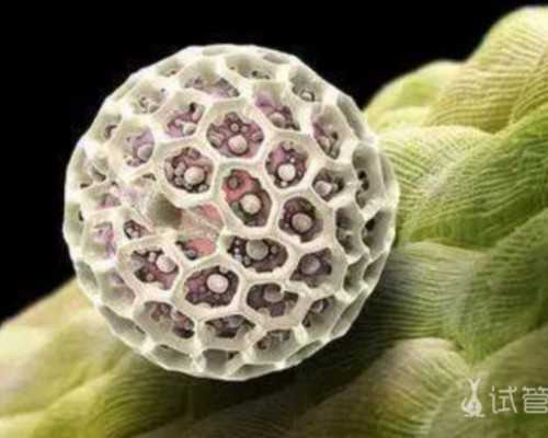 如何降低试管婴儿畸形风险？