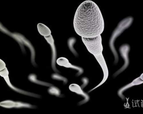 解读试管婴儿：一项改变生育格局的医学奇迹