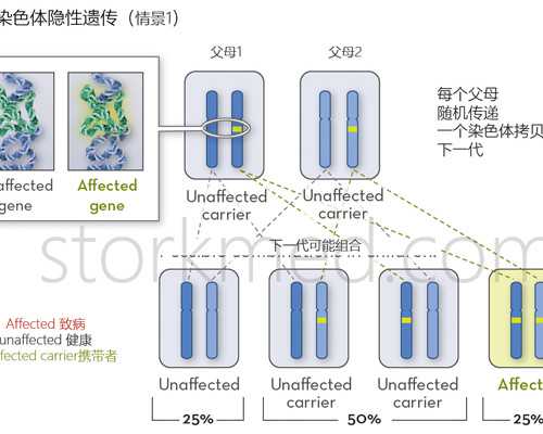 南昌代生联系 南昌三甲医院——南昌大学第一附属医院 ‘三维看男女看哪个数
