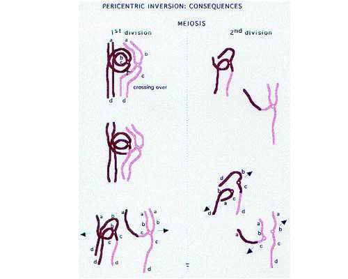 郑州试管婴儿助孕公司,一对一指导