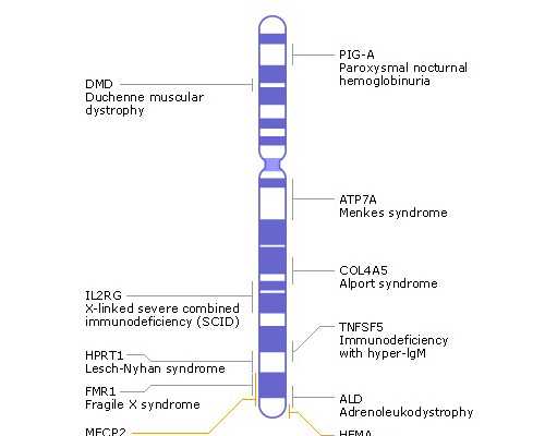 武汉助孕哪家最便宜 武汉*卵试管哪家专业？是否会有很大风险？ ‘二维彩超看