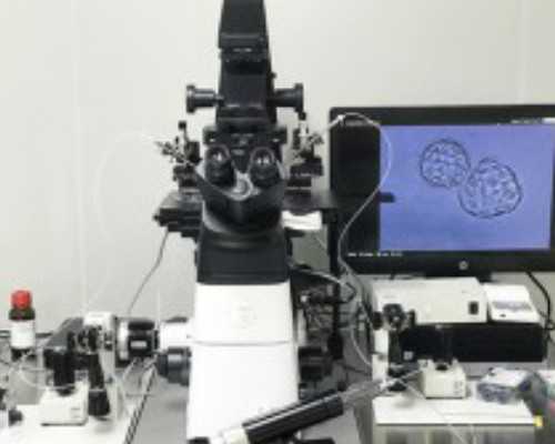 南昌优明试管婴儿公司-南昌试管婴儿，费用预估一览！