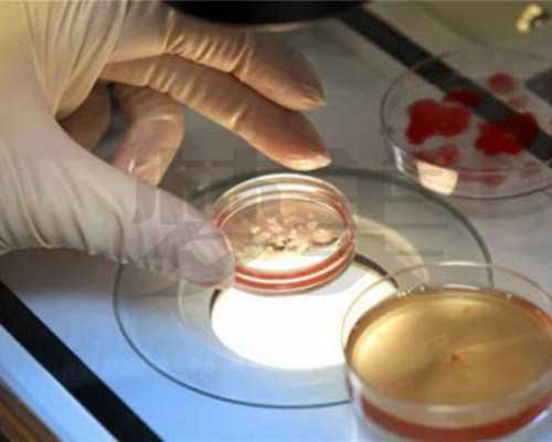 无精症患者试管失败后的心理调适指南