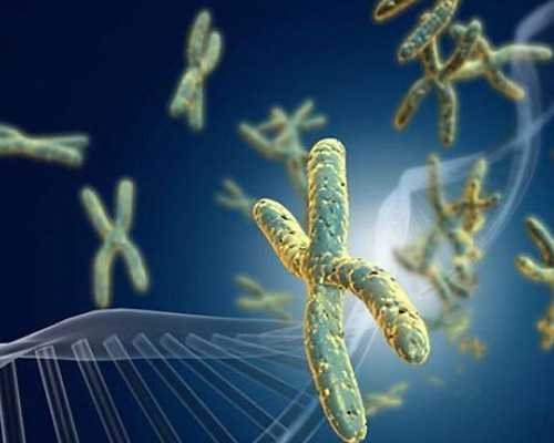 郑州助孕生孩子的私人医院排名前十名