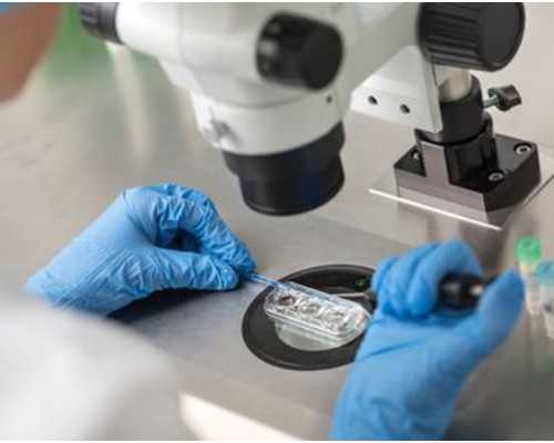 试管助孕如何降低畸形风险？