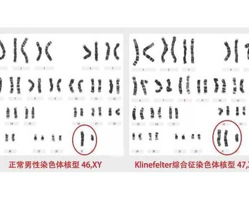 上海三代试管供卵医院优质服务