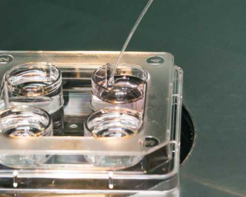 提高黄体功能提升试管成功率