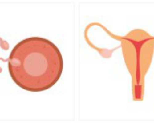 有供卵的人 医院给做吗&绝经会怀孕吗,男性不孕不育要做哪些检查项目