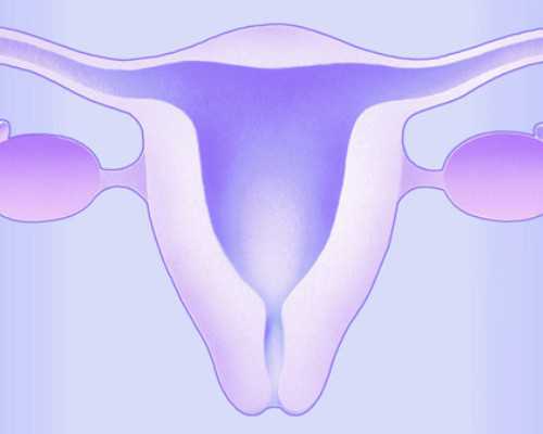 北京四代试管：生殖医学领域的前沿探索