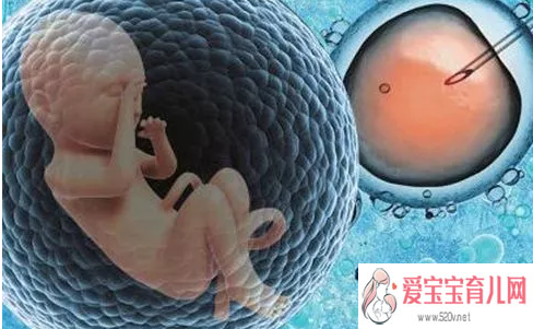 供卵就选孕妈妈_美国供卵助孕_胚胎冷冻对宝宝有影响试管婴儿冷冻胚胎有什么